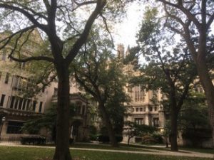 Chicago University Oriental Institute