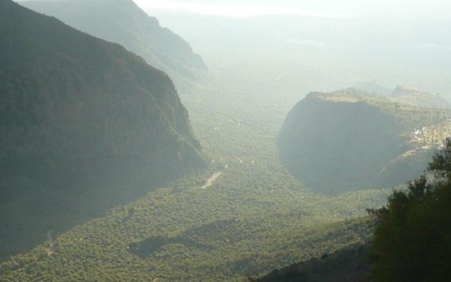 Crissean Plain – The largest continuous olive grove in Greece originally dedicated to Apollo