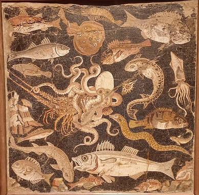 Bountiful Dionysus on slopes of verdant Vesuvius and Catalogue of Vish Mosaics