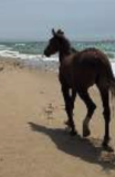 Classics Trip to Spain, Andalusia and Extremadura regions. Emanuel School – Michael Morrison